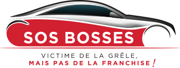SOS BOSSES